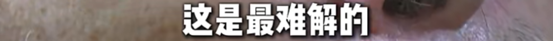 曝湖人有望挖角爵士中锋凯斯勒